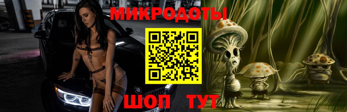 Псилоцибиновые грибы Psilocybe Симферополь